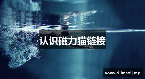 认识磁力猫链接